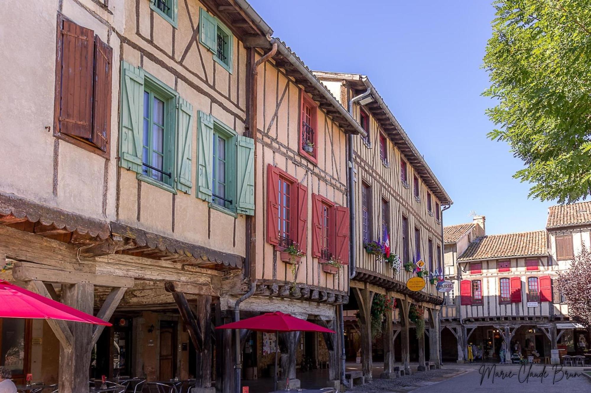 Manoir Et Appartements Avec Piscine Au Domaine De Bize Mirepoix 미르포아 외부 사진